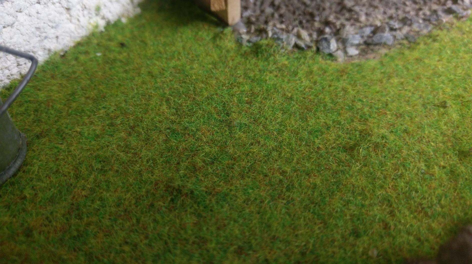 Endlich keine kahlen Flecken mehr