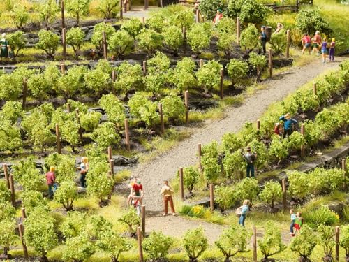 noch-21540-weinreben-landschaft-spur-h0-tt-n-z-f-r-weinberg-diorama image 5