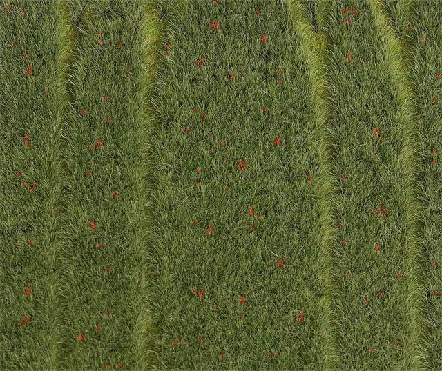 faller-premium-landschafts-segment-getreidefeld-mit-mohnblumen-h0-tt-n image 1