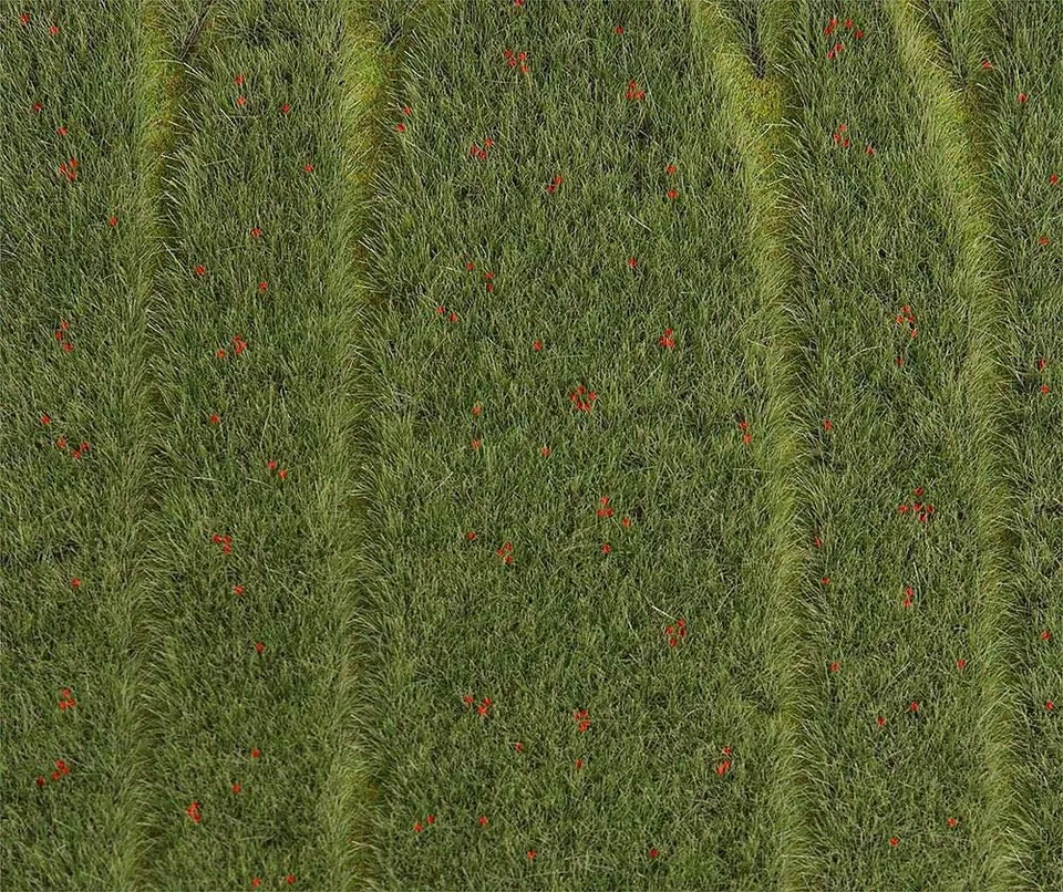 faller-premium-landschafts-segment-getreidefeld-mit-mohnblumen-h0-tt-n image 1