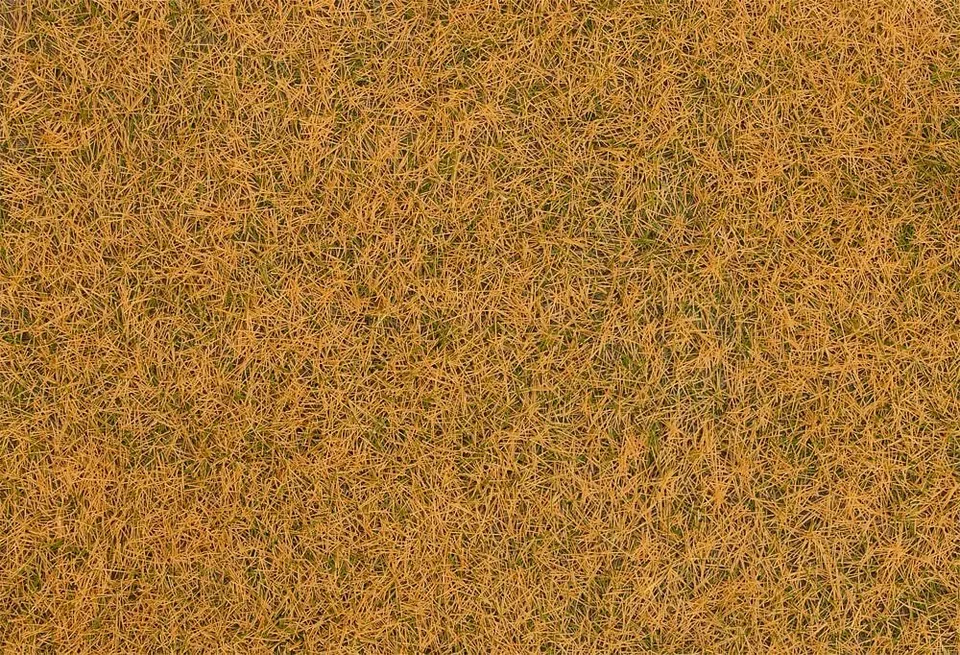faller-streufasern-wildgras-verdorrt-4-mm-1-kg image 1