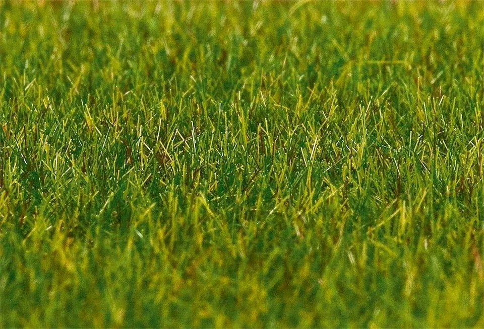 faller-180485-streufasern-gras-lang-30-g-6-mm image 1