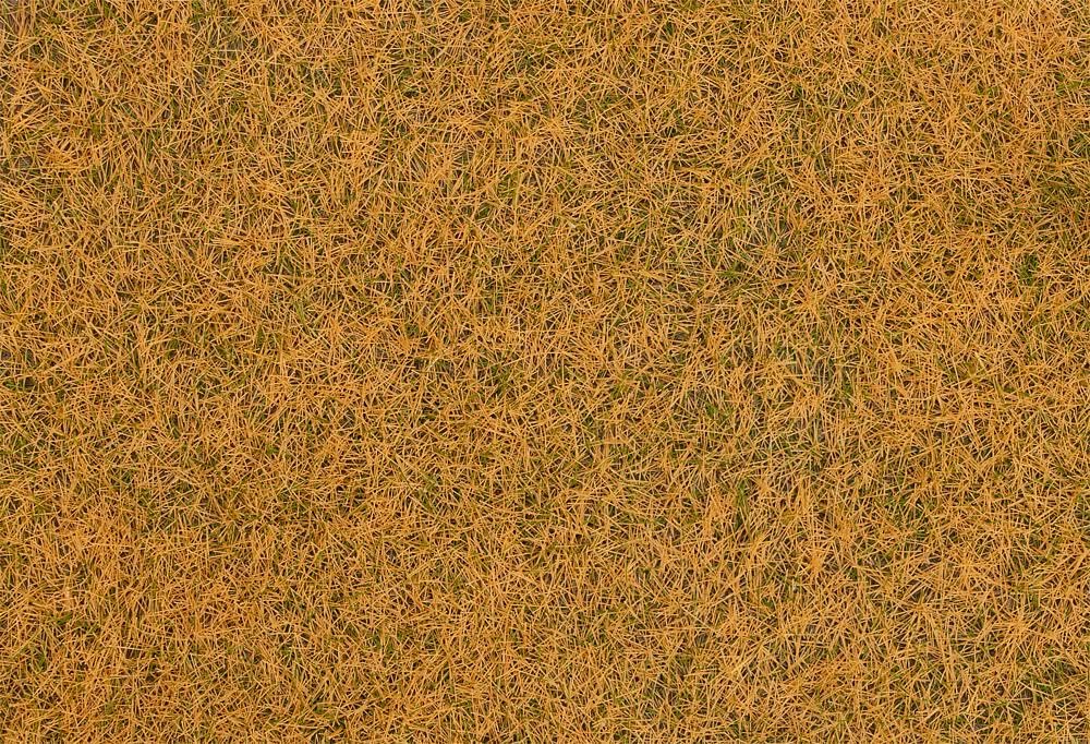 faller-streufasern-wildgras-verdorrt-4-mm-1-kg image 1