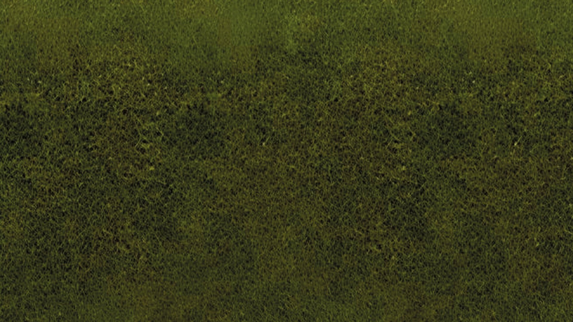 noch-grasmatte-wiese-120-x-60-cm-2-5-mm-spur-h0-n-z image 3