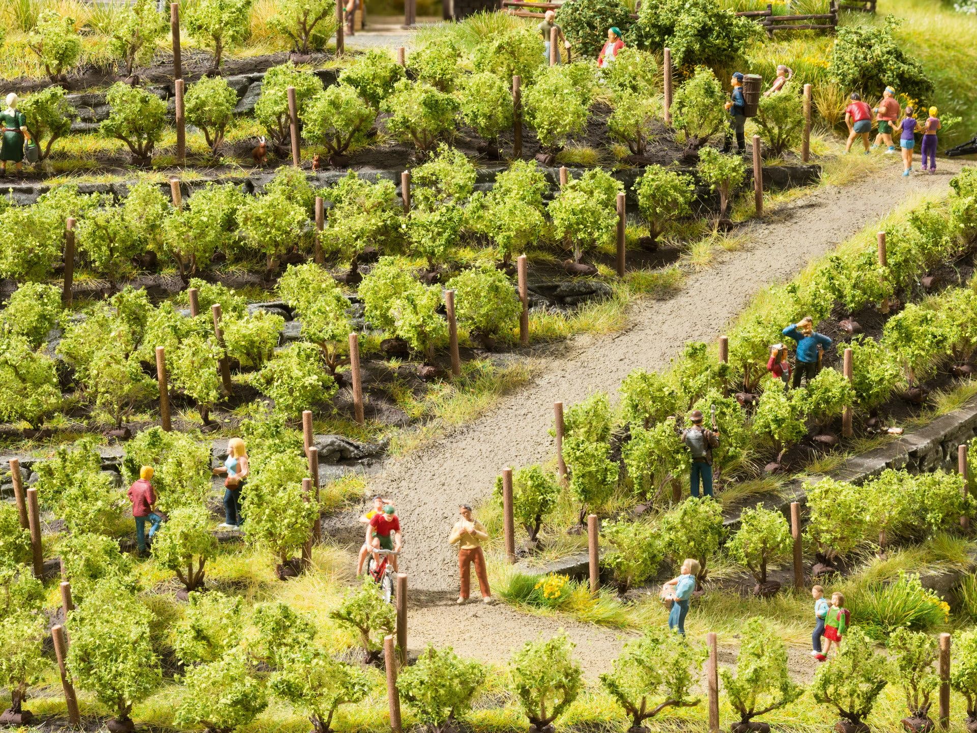 noch-21540-weinreben-landschaft-spur-h0-tt-n-z-f-r-weinberg-diorama image 2
