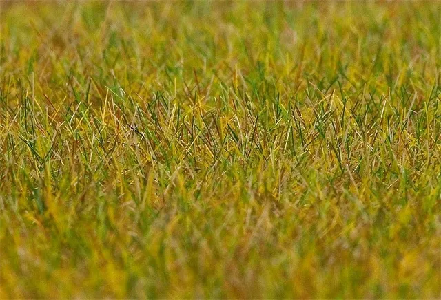 faller-180484-streufasern-wiese-lang-30-g-6-mm image 1