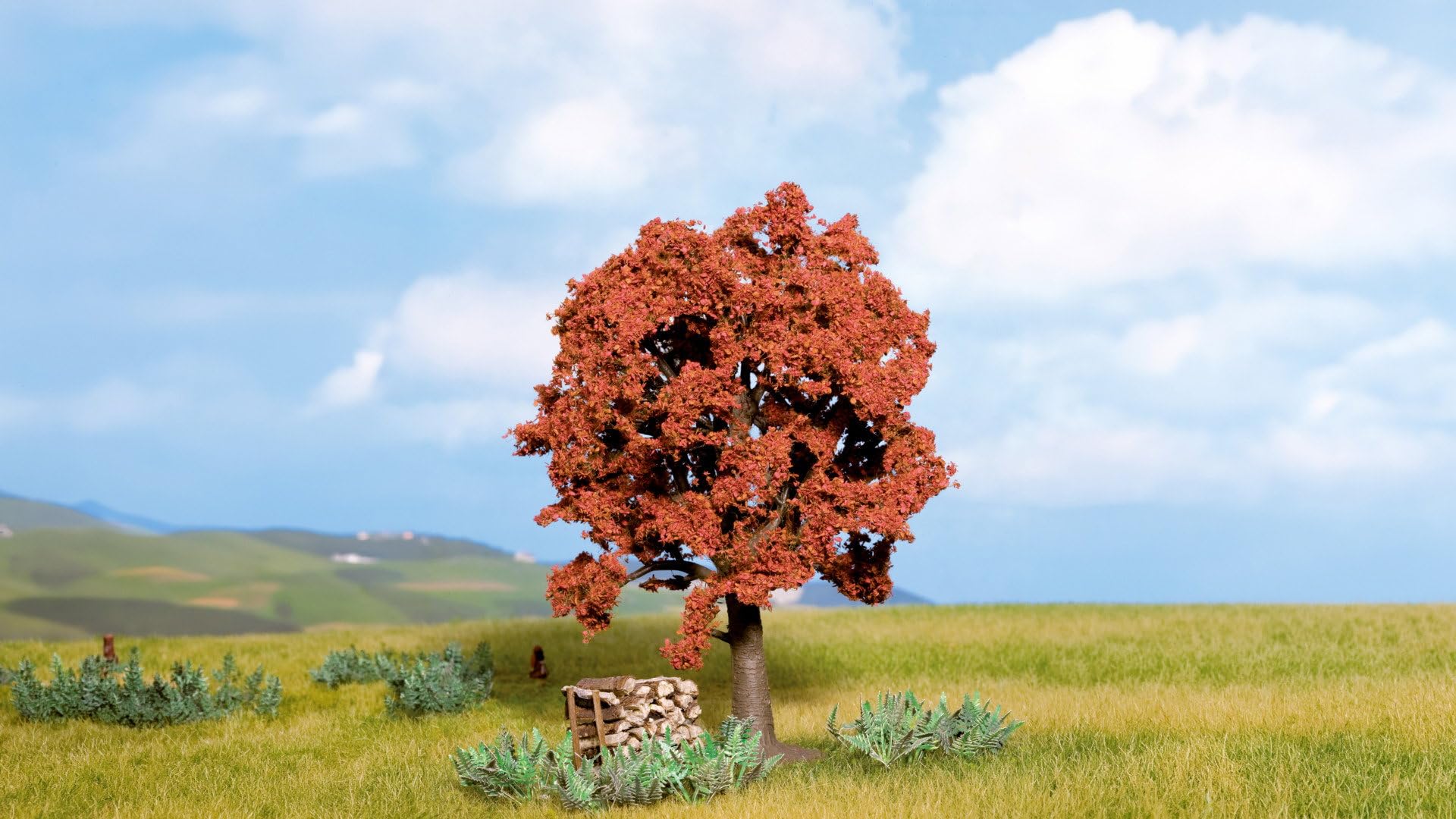 noch-rotbuche-profi-baum-13-cm-mit-naturstamm-h0-tt-n image 2