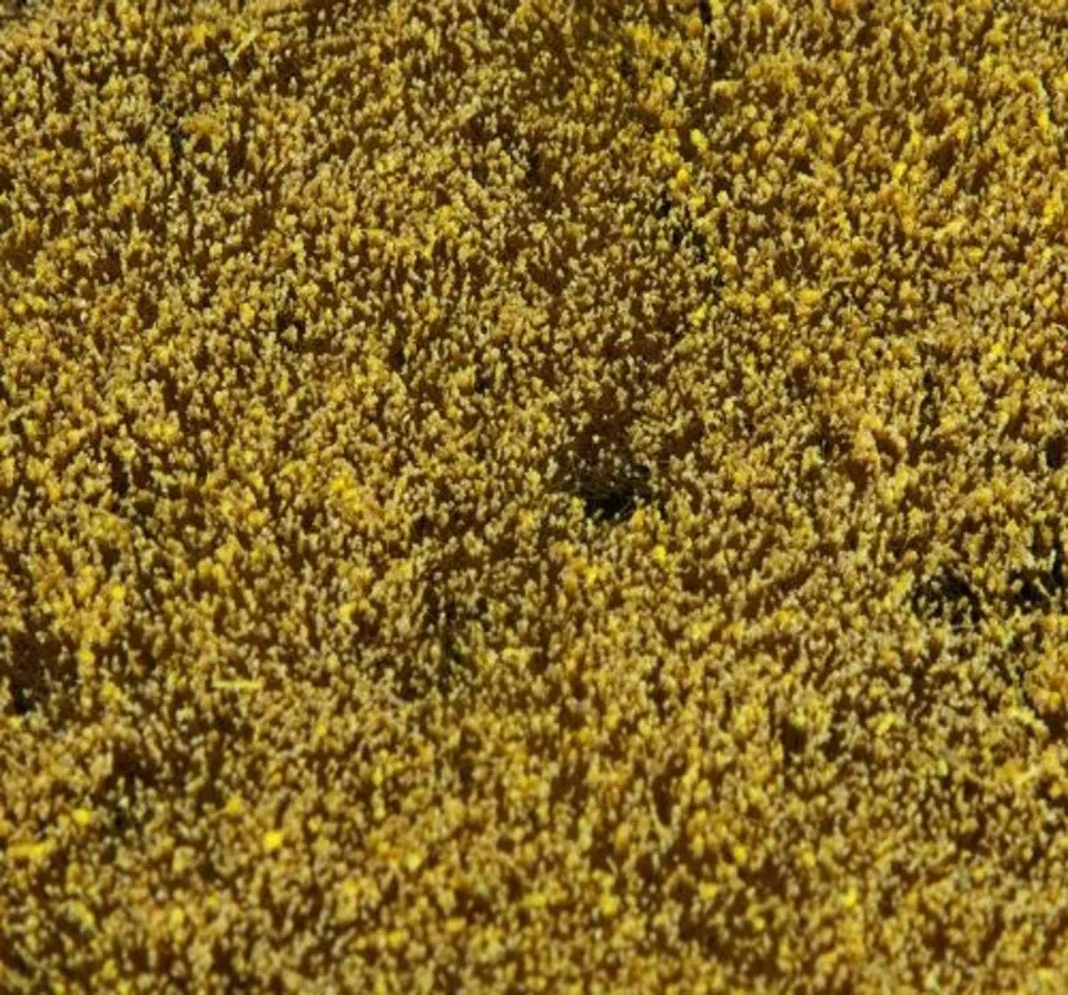 faller-180466-landschafts-segment-getreidefeld-h0 image 1