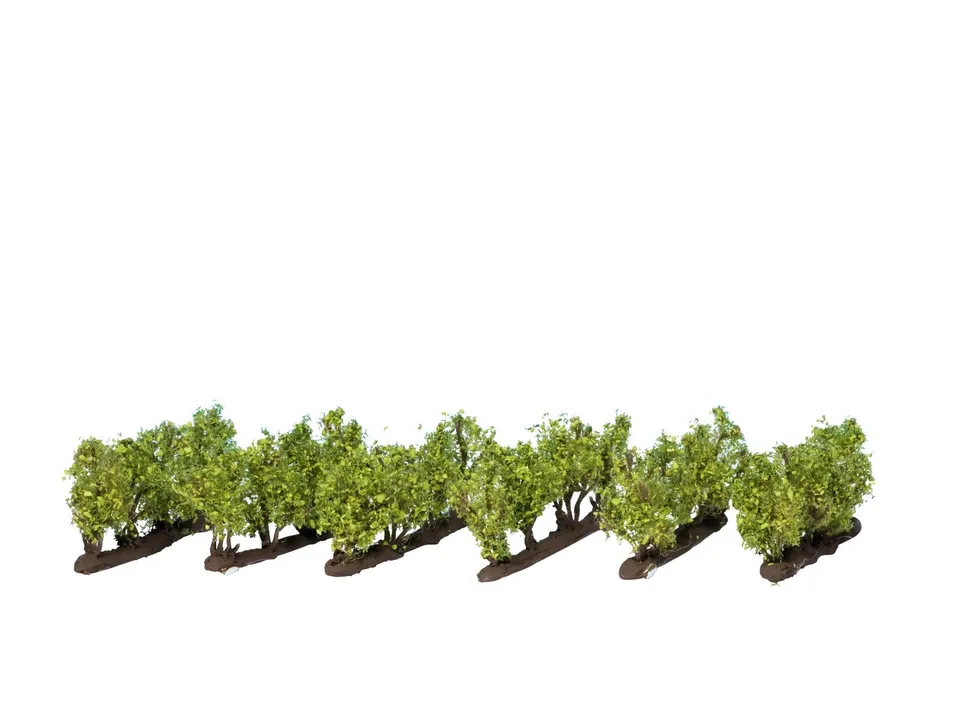 noch-21540-weinreben-landschaft-spur-h0-tt-n-z-f-r-weinberg-diorama image 1