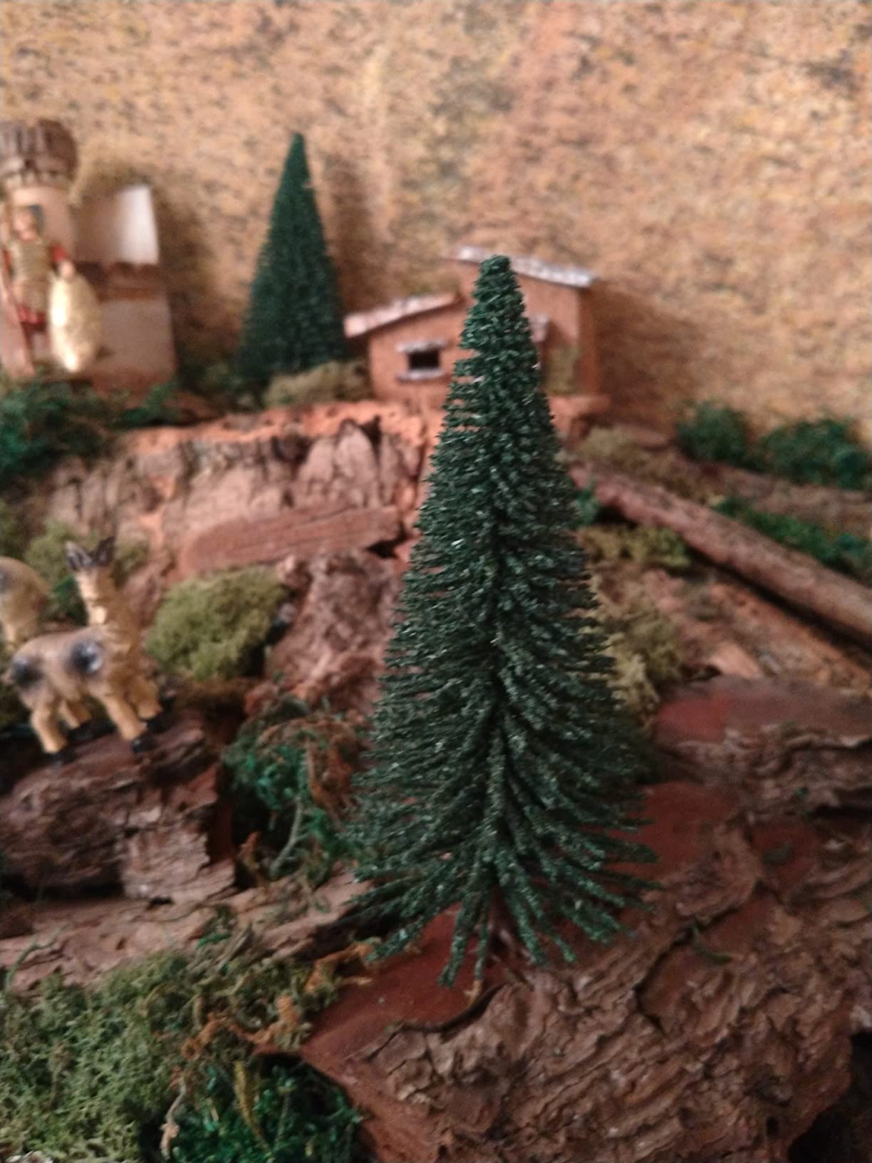 Viel Wald für wenig Geld