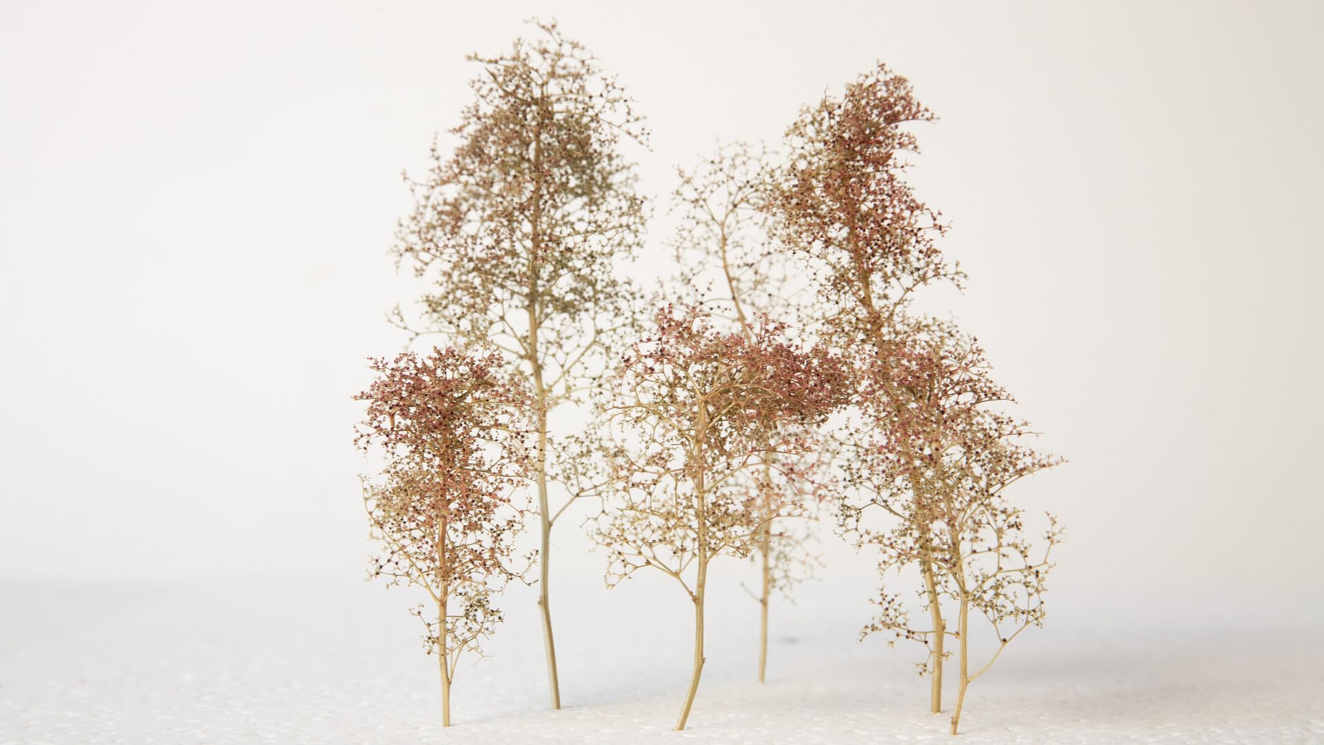 noch-23100-naturb-ume-seeschaum-4-20-cm-modellb-ume image 2