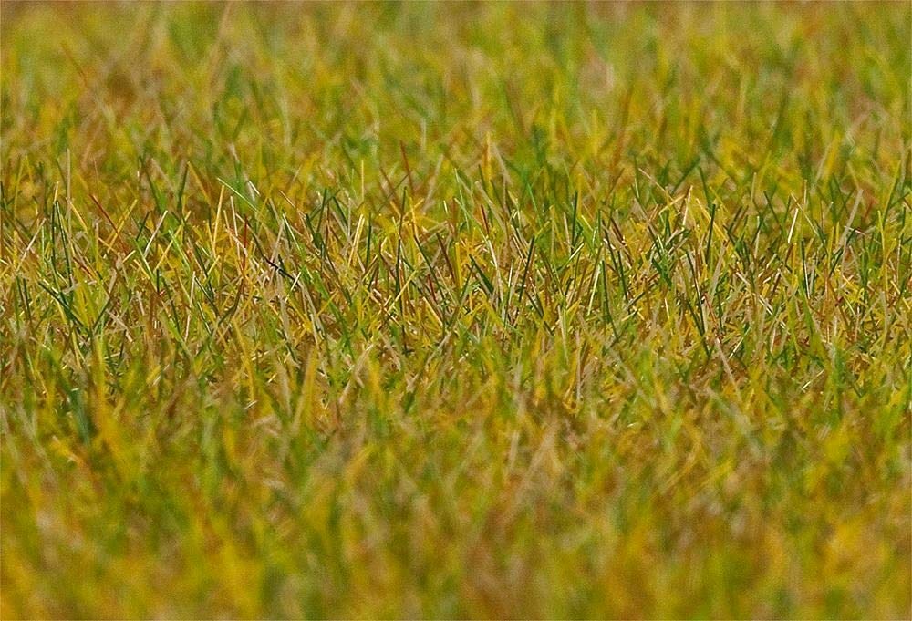 faller-180484-streufasern-wiese-lang-30-g-6-mm image 1