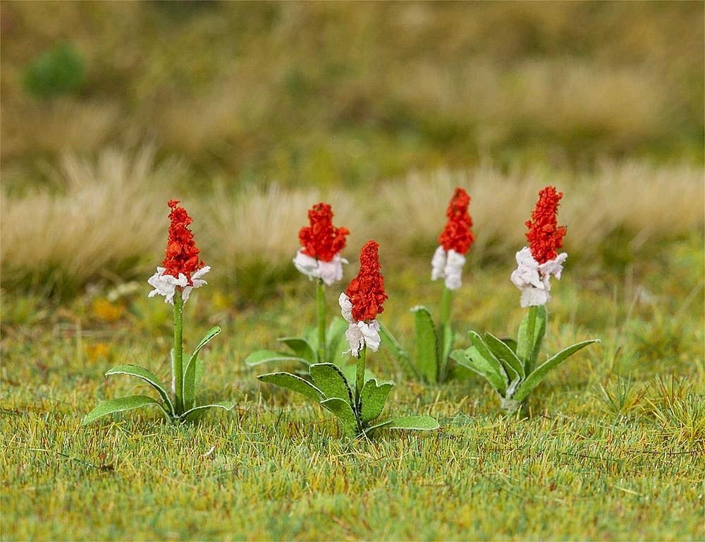 faller-181267-orchideenprimel-32-st-ck-blumen image 1