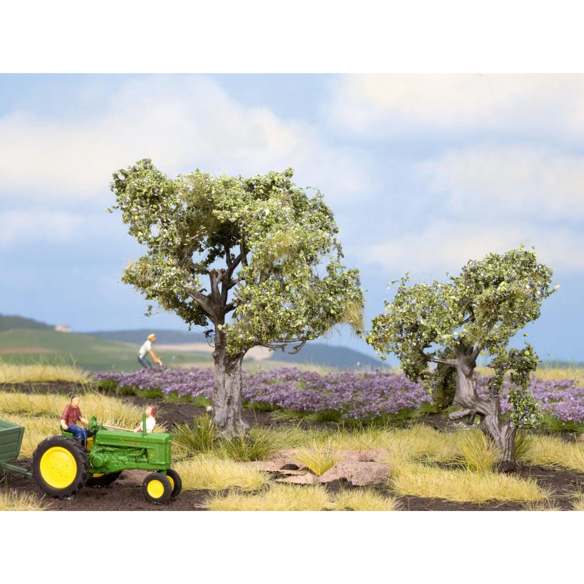 noch-21995-olivenb-ume-h0-tt-2-st-ck-classic-baumserie image 2